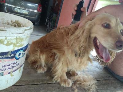 Прикрепленное изображение: iYA-nWzDbe0.jpg